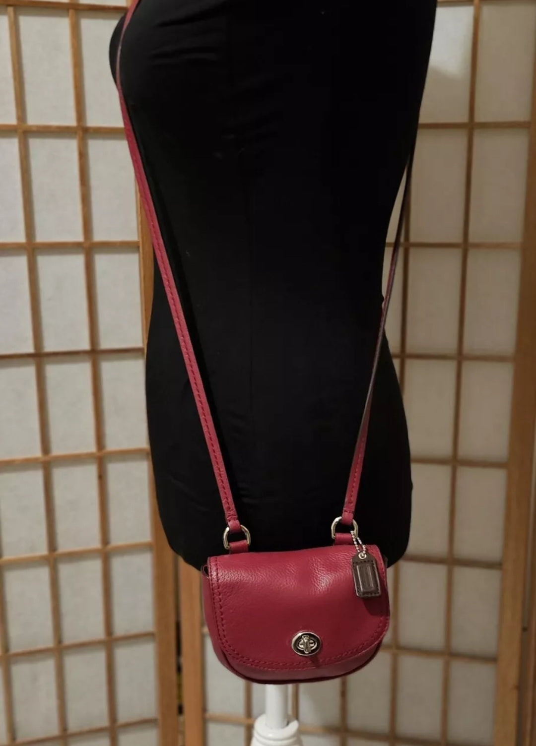 Coach swingpack bag online